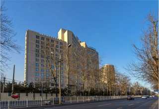 扬州泌尿疾病动物模型建模